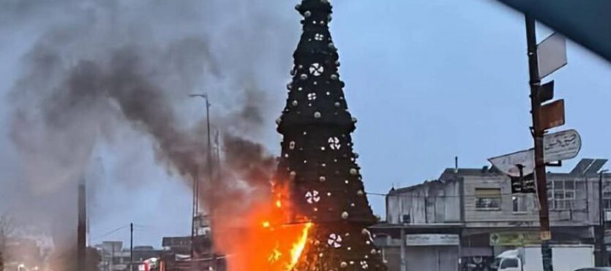 Islamici bruciano albero di Natale in piazza: Italia a rischio – VIDEO