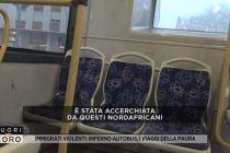Branchi aspettano donne italiane da stuprare sui bus