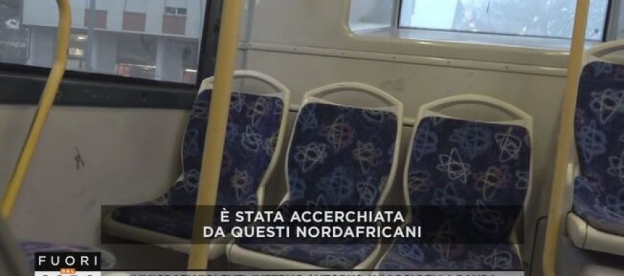 Branchi aspettano donne italiane da stuprare sui bus