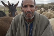 Orrore, migrante stupra a morte un asino: prima aveva violato pecore e pony