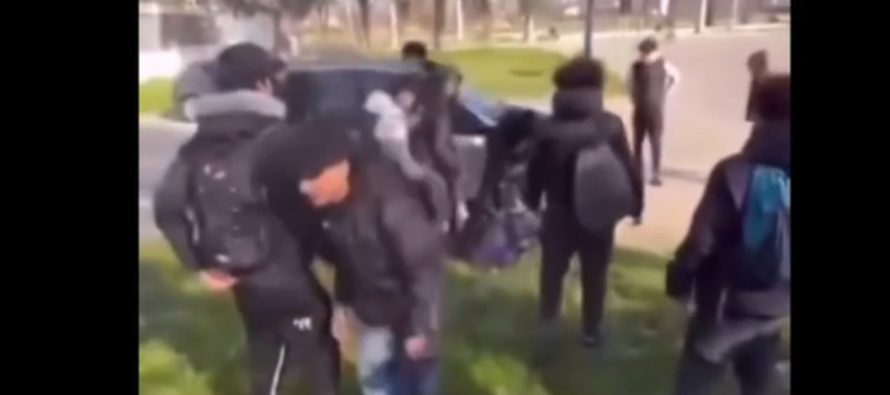 Modena: ragazzino pestato da 15 ragazzini nordafricani fuori da scuola – VIDEO