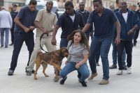 Maranza Sparano Petardi Contro Persone e Cani, Poi Ridono: “Chiamate i Carabinieri!”.