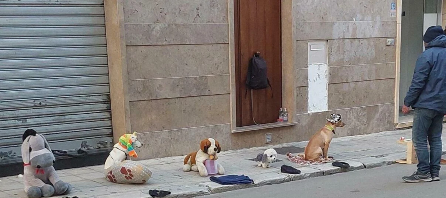 Immigrati torturano cagnolini davanti a tutti e poi li uccideono: nessuno li ferma