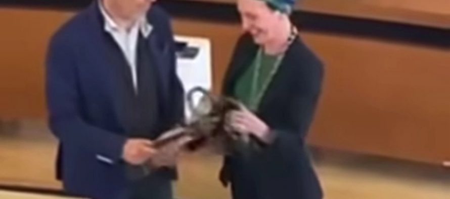 Sindaco tedesco di Merano rifiuta il tricolore: eletta grazie alla sinistra