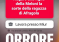 Femministe augurano a figlia Meloni sorte ragazza Afragola