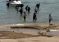 Sbarcano sulle spiagge e chiedono di essere accompagnati nei centri accoglienza – VIDEO