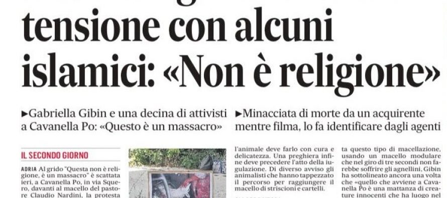 Animalisti fermano sacrificio animali: musulmani volevano sgozzare anche loro