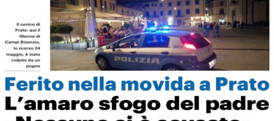 Ragazzo italiano in coma dopo pestaggio dal solito immigrato di seconda generazione