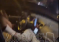 Finale Champions, auto con donne sole circondate dai ‘maranza francesi’: molestie di massa – VIDEO