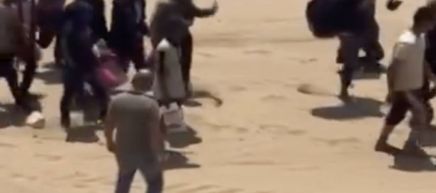 Clandestini sbarcano tra i bagnanti già con le valigie pronte – VIDEO
