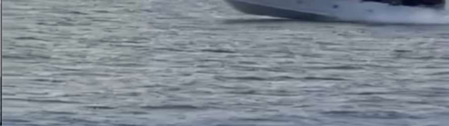 Sbarchi fuori controllo: mezzi da sbarco scaricano immigrati sulle spiagge – VIDEO