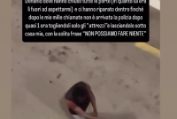 Perseguitata da immigrato: la aspetta da mesi sotto il suo portone per molestarla – VIDEO