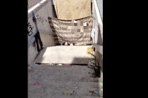 Maranza, in 5 contro 1 cercano di uccidere italiano: li disturbava nel loro sottopasso occupato – VIDEO