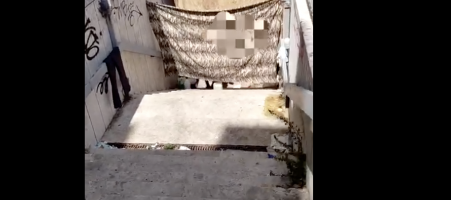 Maranza, in 5 contro 1 cercano di uccidere italiano: li disturbava nel loro sottopasso occupato – VIDEO