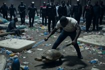 Orrore: 19 nigeriani sorpresi a torturare animale