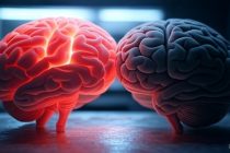 **Il “cervello rettiliano” degli elettori di destra: una virtù necessaria per l’autoconservazione**