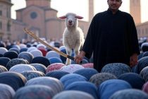 Animali torturati dai musulmani serviti nelle mense di Bologna
