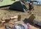 Cesenatico, zingari erigono campo nomadi in spiaggia: “Ora è nostra”