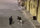 Da solo sfida i maranza che vogliono ucciderlo a bottigliate – VIDEO