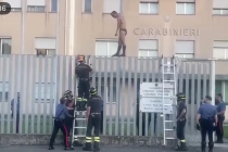 Immigrato umilia Carabinieri ma loro non possono abbatterlo – VIDEO