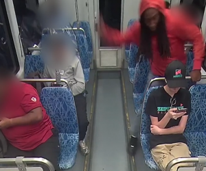 Sgozzata sul treno dal solito nero razzista: non voleva una bianca nel ‘suo’ vagone – VIDEO