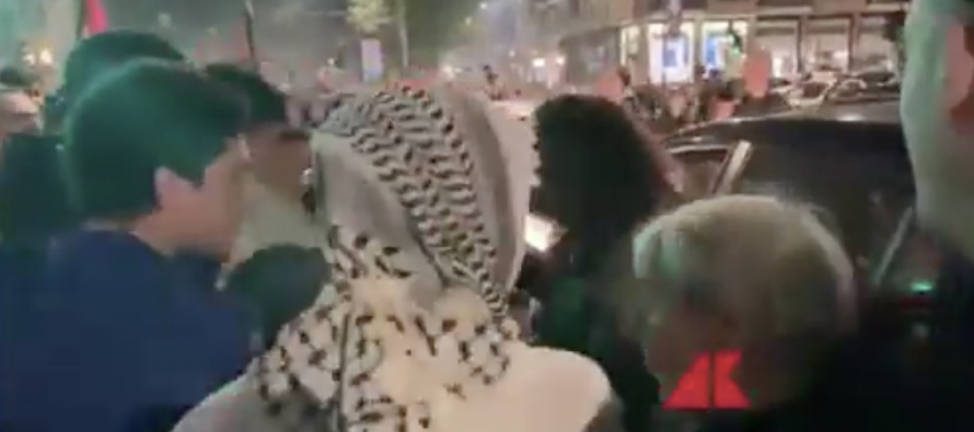 Violenze pro-Pal in tutta Italia, cittadini si rivoltano: “Dovete andare in galera” – VIDEO