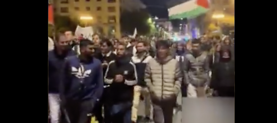 Sinistra arruola i maranza contro l’Italia: assalto alla stazione di Trieste – VIDEO