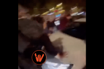 Teppisti Pro-Pal lo circondano: automobilista sfonda il blocco illegale – VIDEO