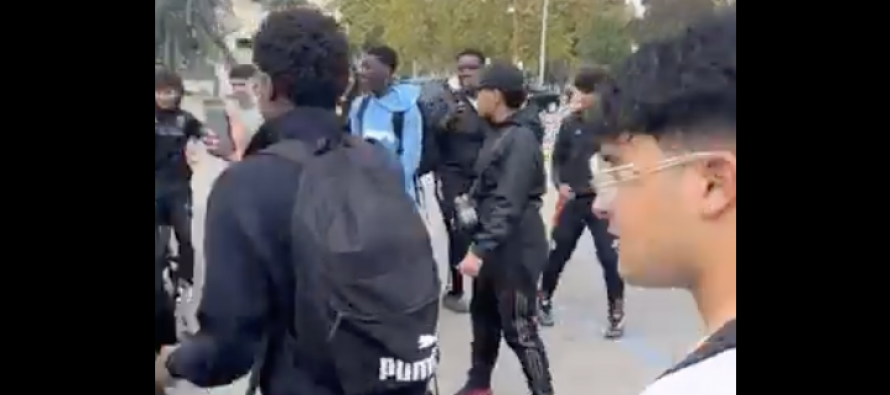 Modena, scuole assaltate da immigrati di seconda generazione: pestaggi e risse