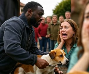 Africano uccide cane e lo squarta per mangiarlo vicino Roma
