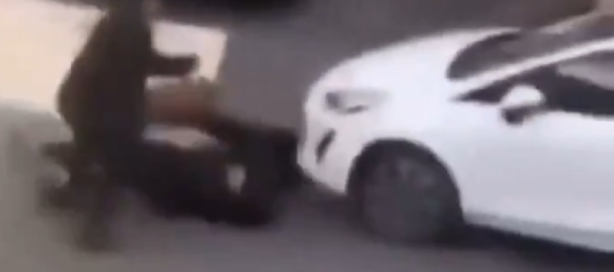 Profugo afghano sgozza uomo a spasso col cane – VIDEO