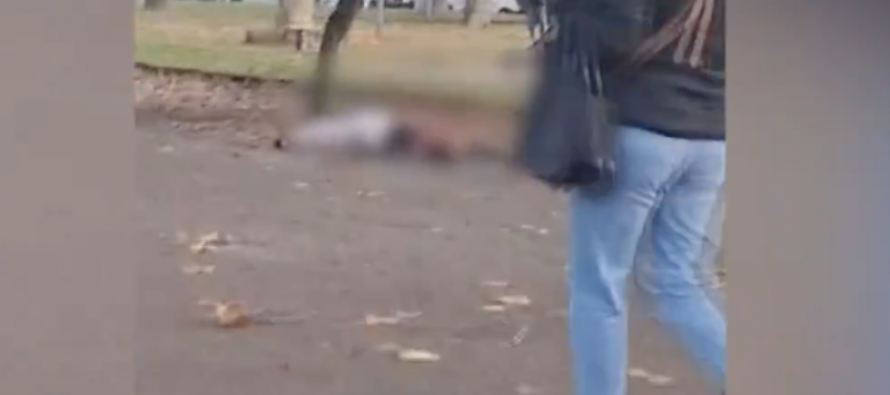 Due donne sgozzate da immigrati: è un mattatoio e loro sono i nostri macellai