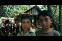 Chieti, lo Stato rapisce i ‘bimbi del bosco’ dai GENITORI intanto i rom fanno quel che vogliono