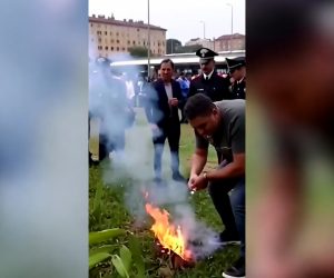 Africano incendia parco ma non lo arrestano