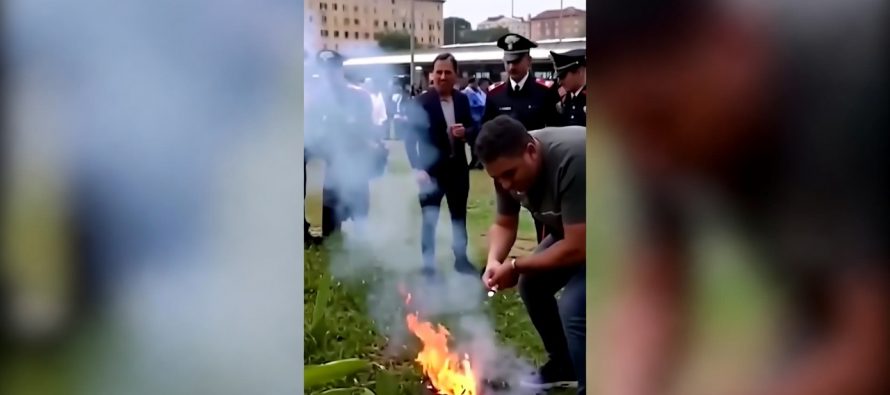 Africano incendia parco ma non lo arrestano