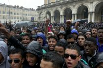 Parlano i maranza: legge non ci interessa dobbiamo picchiare italiani – VIDEO