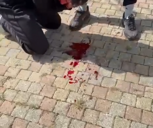 Giornale locale pubblica video Don Alì che massacra ragazzino