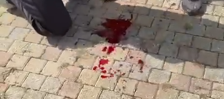 Giornale locale pubblica video Don Alì che massacra ragazzino