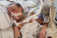 Bambina torna a casa da scuola ma incontra un migrante – FOTO