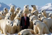 Groenlandia, Trump è pronto all’invasione: “Potrei dover scegliere tra isola e Nato”