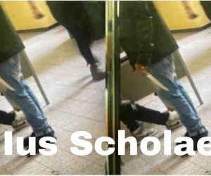 Tajani, dopo La Spezia proponi ancora lo Ius Scholae?