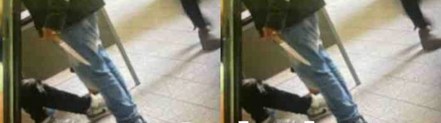 Tajani, dopo La Spezia proponi ancora lo Ius Scholae?