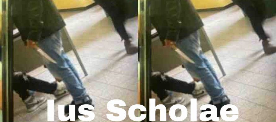 Tajani, dopo La Spezia proponi ancora lo Ius Scholae?