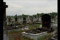 Maranza devastano cimitero a Firenze. Croci bruciate in nome di Allah?