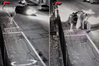 Clandestino Sente “Voce di Allah” e Si Presenta Nudo dai Carabinieri con Droga