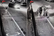 Clandestino Sente “Voce di Allah” e Si Presenta Nudo dai Carabinieri con Droga