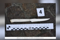 Secondo Ilaria Cucchi poliziotto doveva farsi piantare questo coltello nel collo?