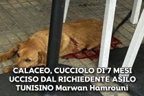 Marwan Hamrouni è il richiedente asilo che ha ucciso il cucciolo di 7 mesi e sgozzato 2 persone