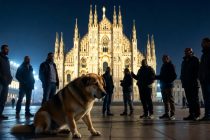 Milano: branco di 10-15 maranza sevizia un cane in strada