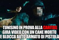 Il capobanda dei maranza violenti era in prova alla Caritas e girava con un cane morto